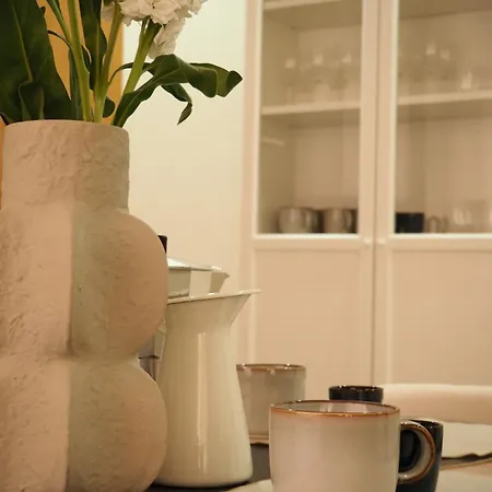 Virgenes Eco Friendly *