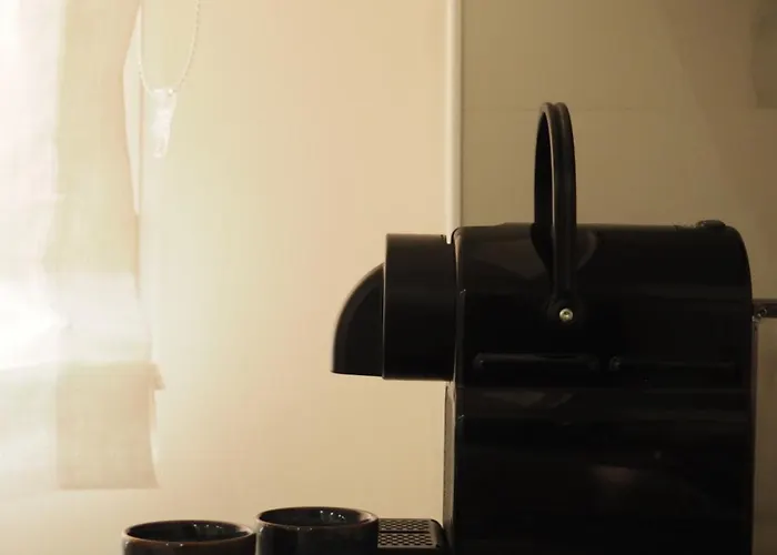 Virgenes Eco Friendly * Zaragoza